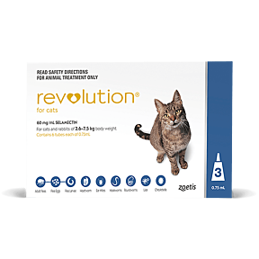 Revolution Cat sale