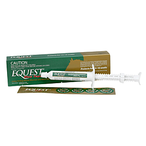 Equest Plus Tape Gel Syringe 11.8g