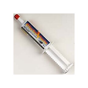 Ranvet Electro Paste 60Ml
