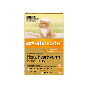 Advocate for cats under 4kg