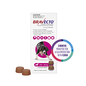 Bravecto Dog Extra Large 40-56kg Purple 2 Chews Short Expiry