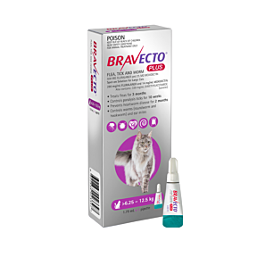 Bravecto Plus Cat 6.25-12.5kg Purple 1 Pack Short Expiry