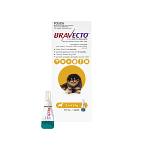 Bravecto Spot On Dog Very Small 2-4.5kg Yellow 1 Pack Short Expiry
