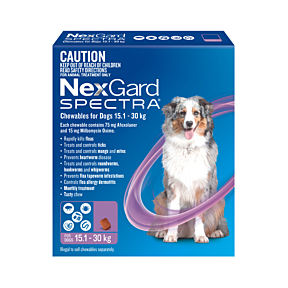 NexGard Spectra Dog Large 15.1-30kg Purple Updated
