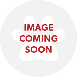 Bravecto Spot On Dog Very Small 2-4.5kg Yellow 1 Pack