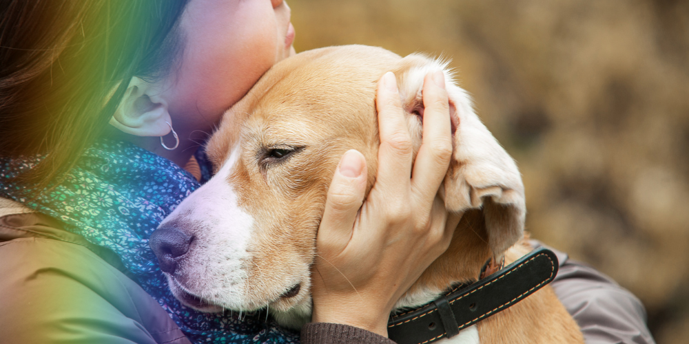 Sad dog with owner