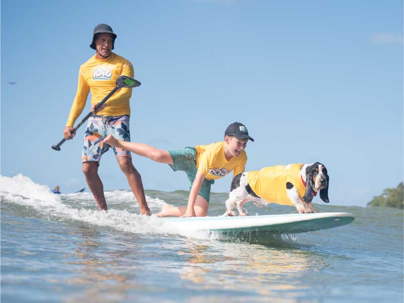 A Surfing Dog Championships competitor standing on a surfboard