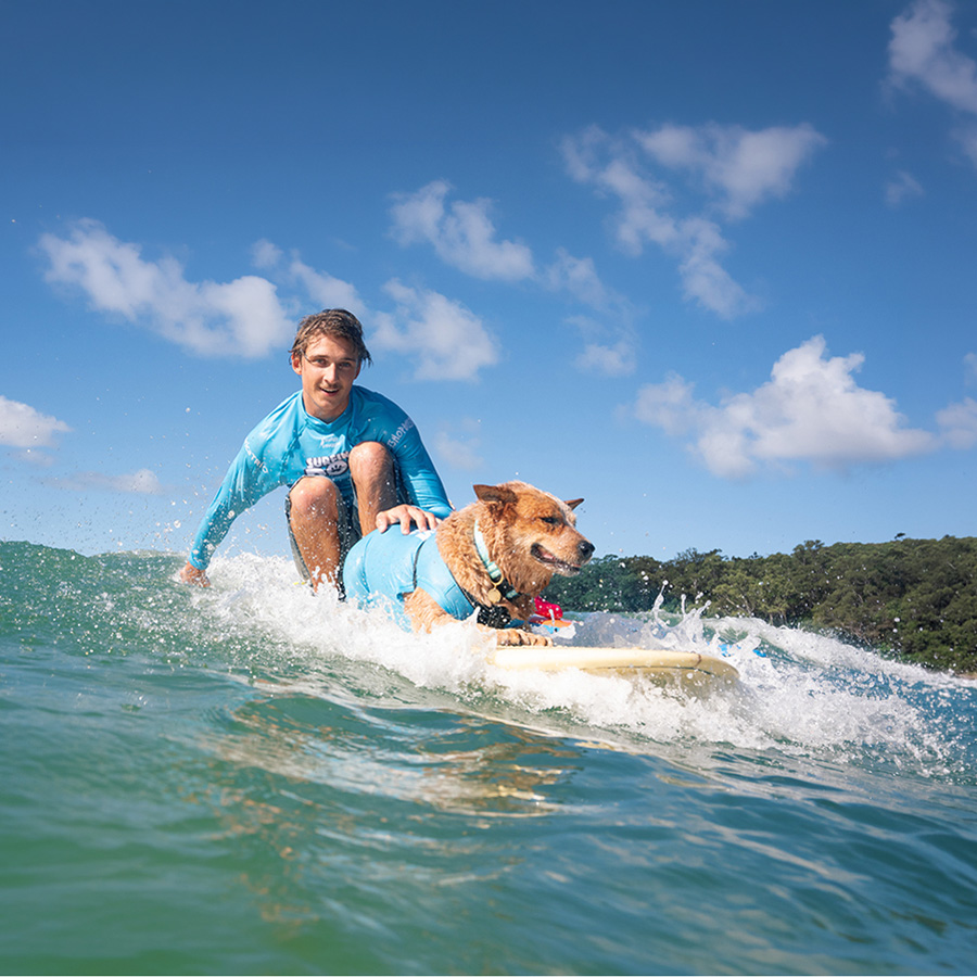 A dog and handler riding a wave at the VetShopAustralia Surfing Dog Championships