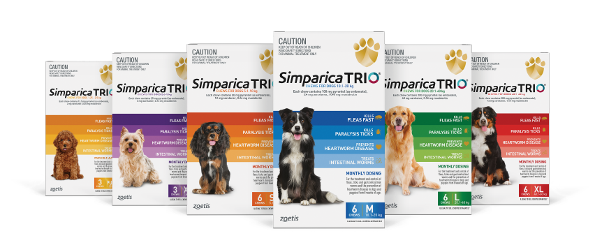 Simparica Trio six pack