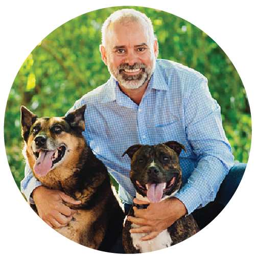 Dr Mark, VetShopAustralia's in-house veterinarian